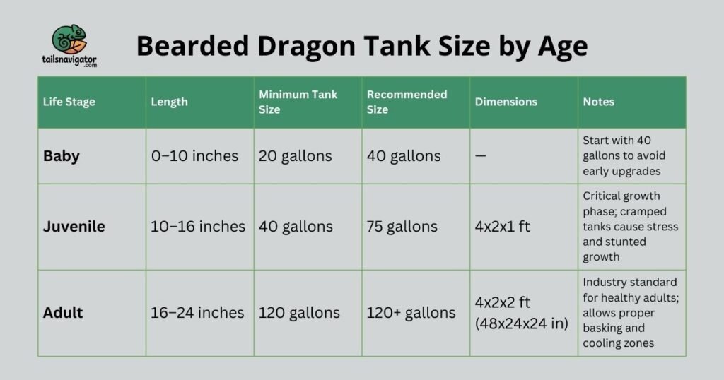 bearded dragon tank size